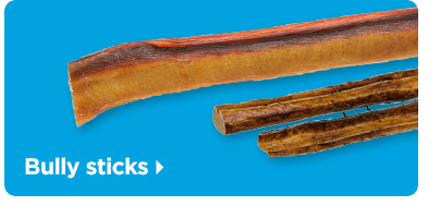 Bully sticks 