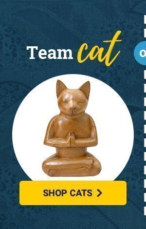 Team cat | SHOP CATS