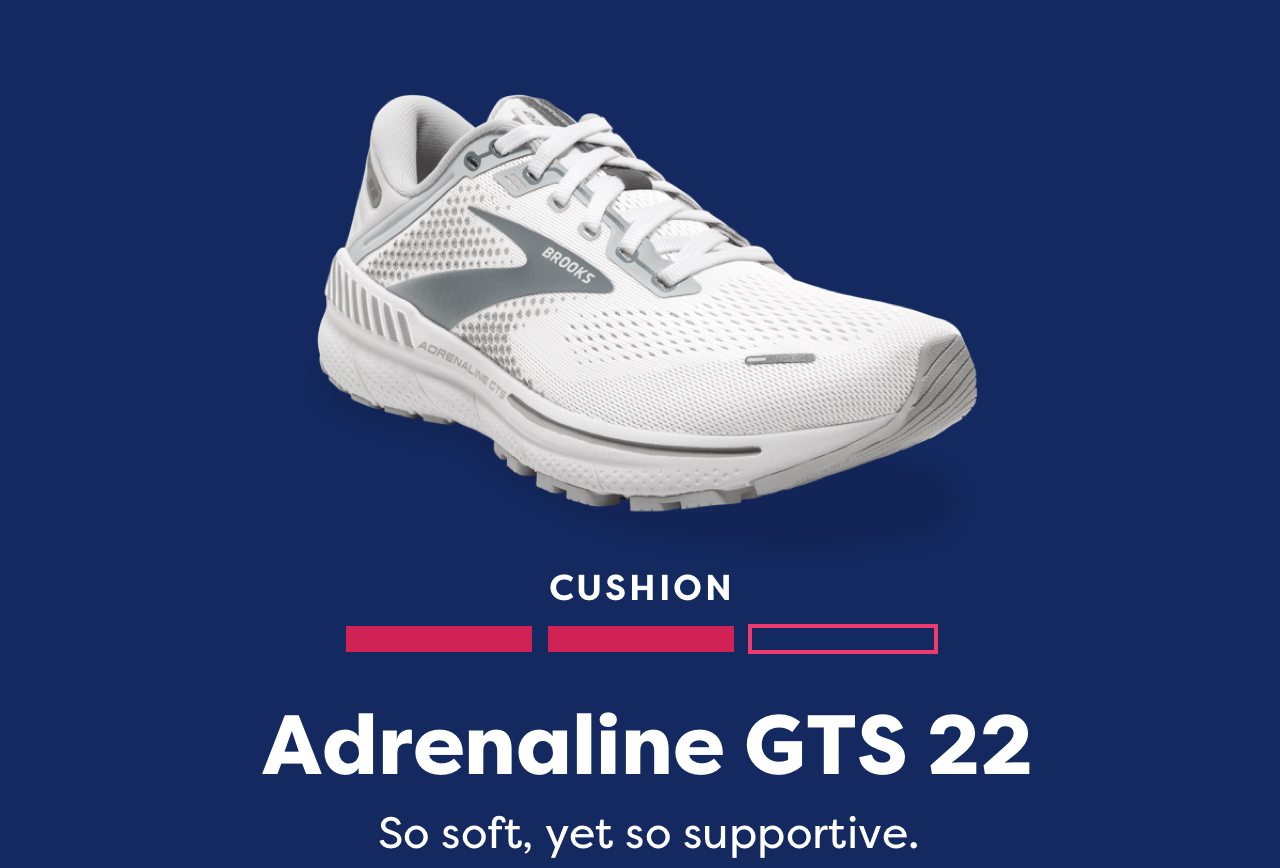 Adrenaline GTS 22 | So soft, yet so supportive.