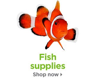 Fish supplies. Shop now.