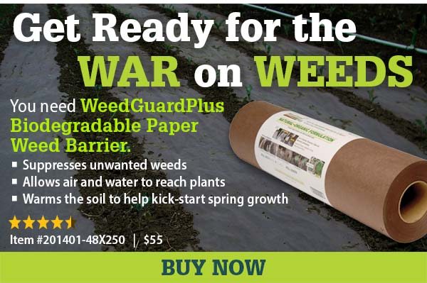 Get Ready for the WAR on WEEDS | You need WeedGuardPlus Biodegradable Paper Weed Barrier. -Suppresses unwanted weeds -Allows air and water to reach plants -Warms the soil to help kick-start spring growth | Item #201401-48X250 - $55 | BUY NOW