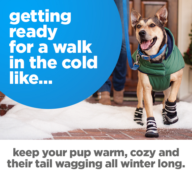 Getting ready for a walk in the cold like...