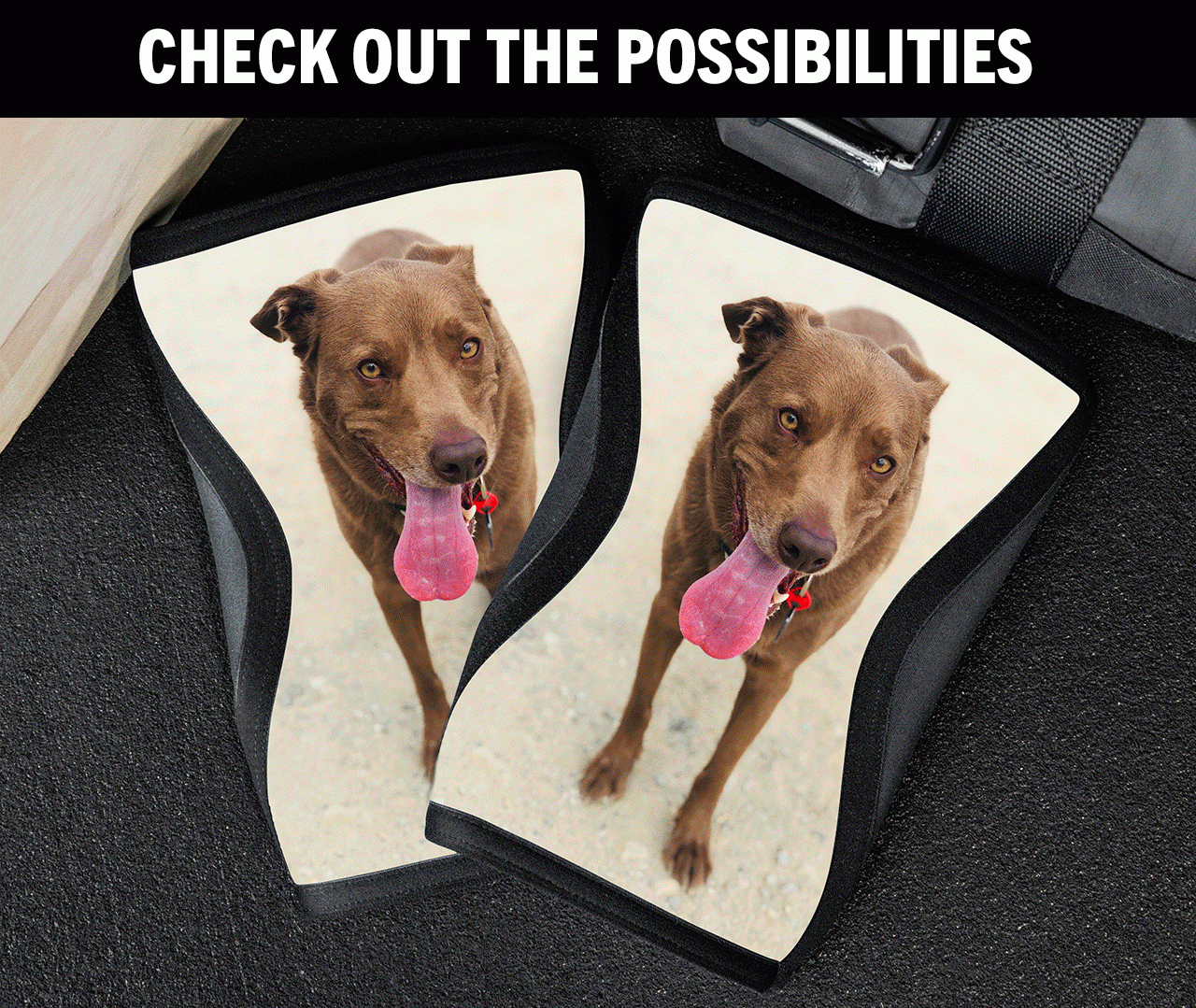 Check Out the Possibilities