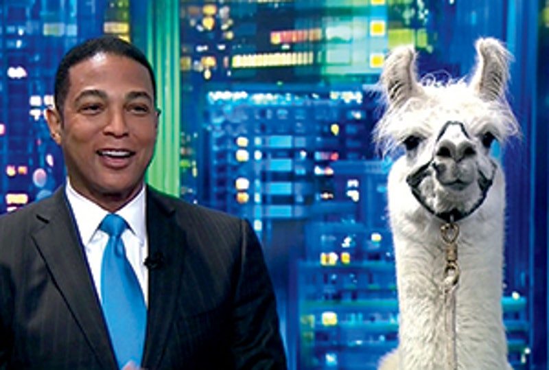 This image may contain Don Lemon, Human, Person, Animal, and Mammal