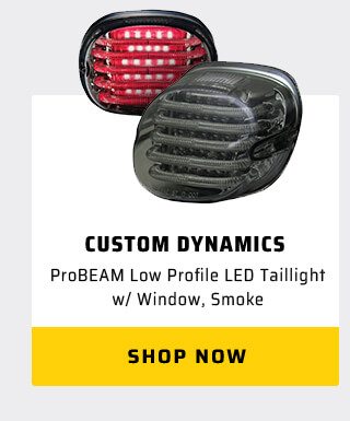 Custom Dynamics ProBeam Low Profile LED Tailight w/ WIndos, Smoke