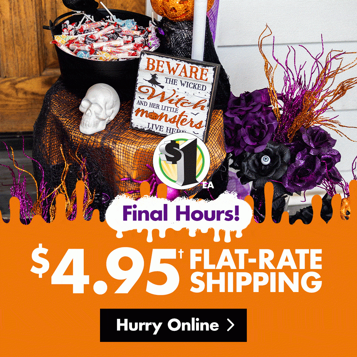 Final Hours of Discounted Shipping!