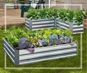 SELECT ON SALE PLANTERS