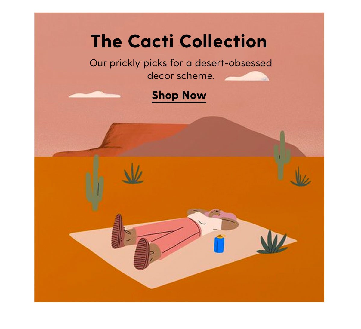 The Cacti Collection: Our prickly picks for a desert-obsessed decor scheme. Shop Now
