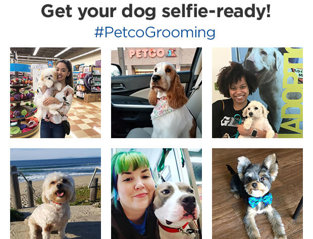 Get your dog selfie-ready! #PetcoGrooming