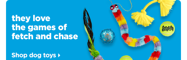 Shop dog toys >