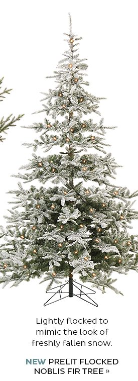 NEW Prelit Flocked Noblis Fir Tree