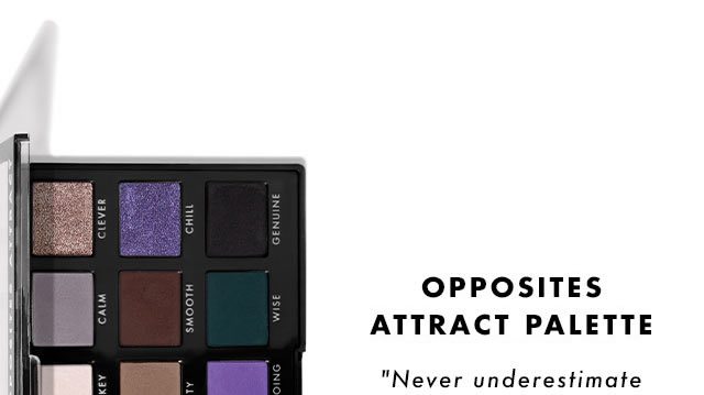 Opposites Attract Palette