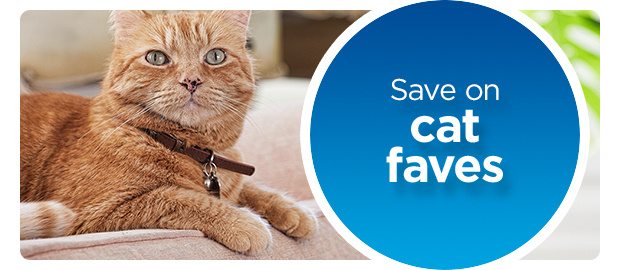 Save on cat faves.