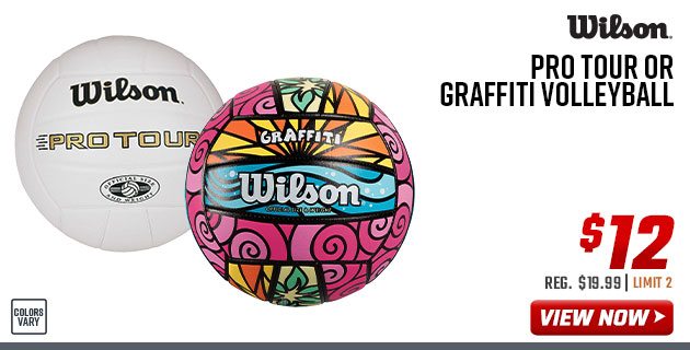 Wilson Pro Tour or Graffiti Volleyball