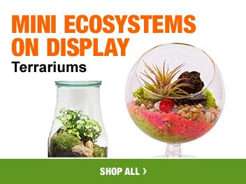 MINI ECOSYSTEMS ON DISPLAY TERRARIUMS