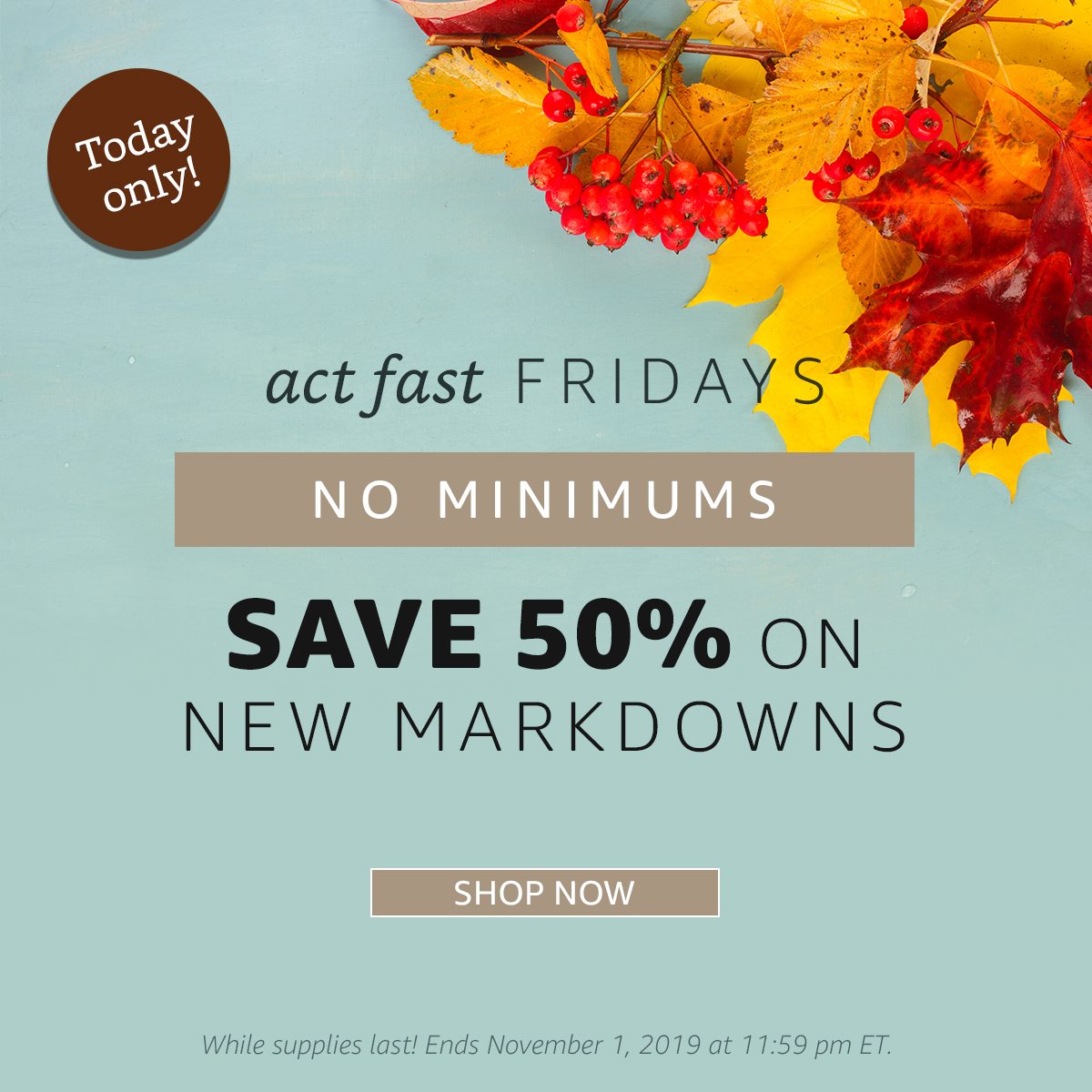 ACT FAST FRIDAY | NO MINIMUMS | SHOP NOW