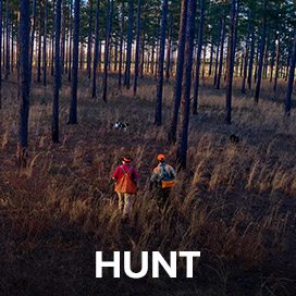 HUNT