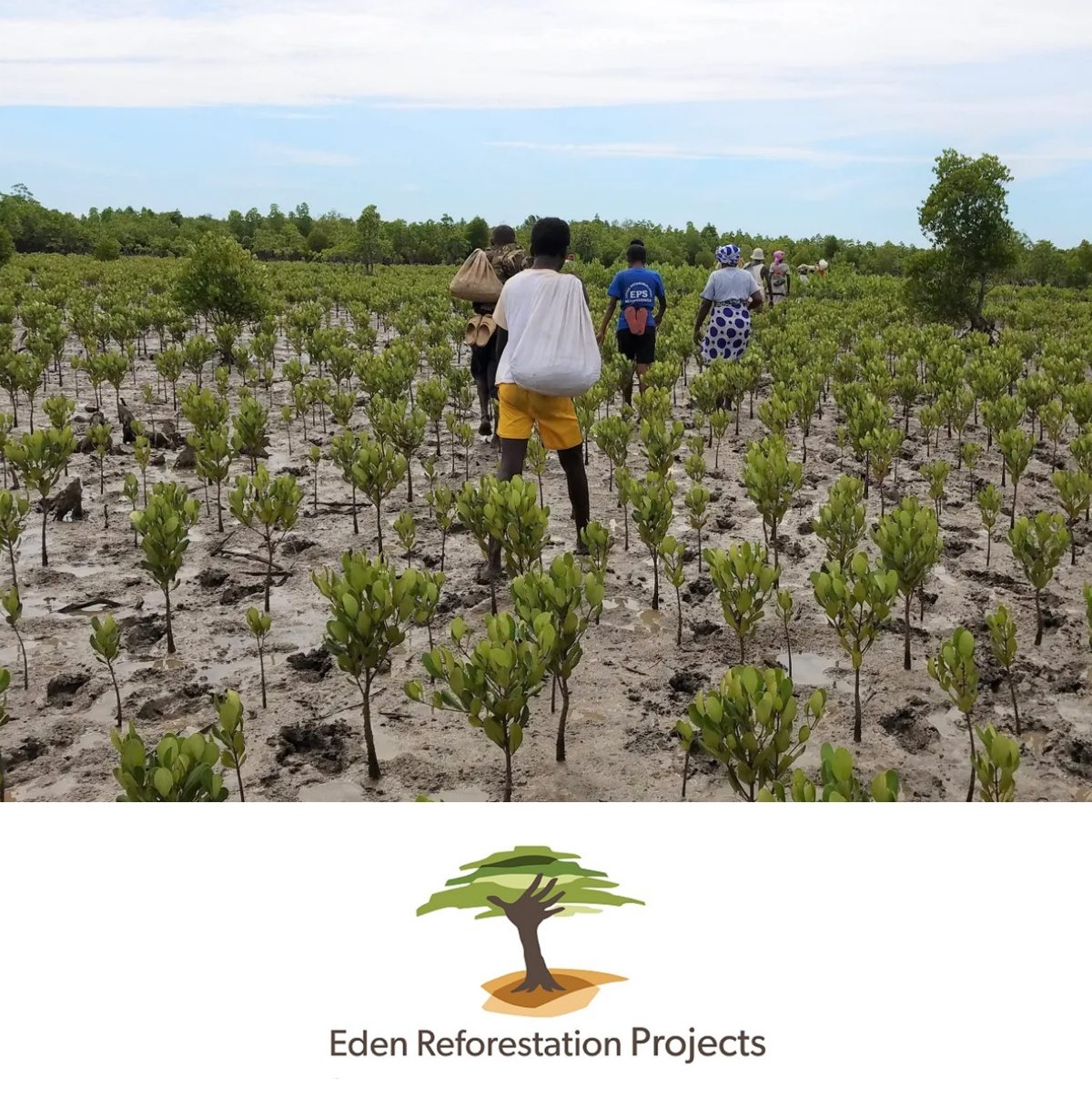 Eden Reforestation Projects