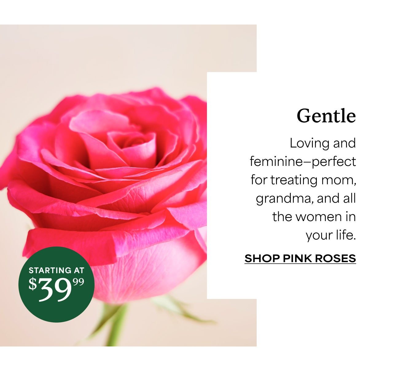 SHOP PINK ROSES