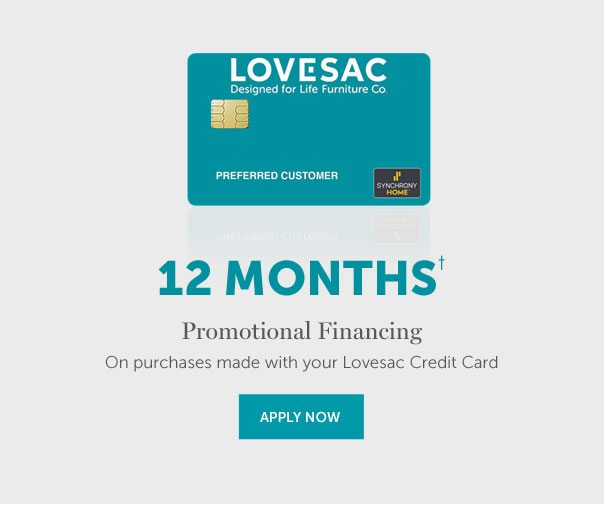 12 Months† | Promotional Financing On purchases made with your Lovesac Credit Card | APPLY NOW >>