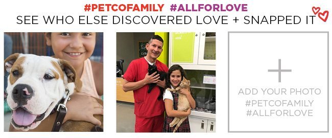 See who discovered love on Instagram