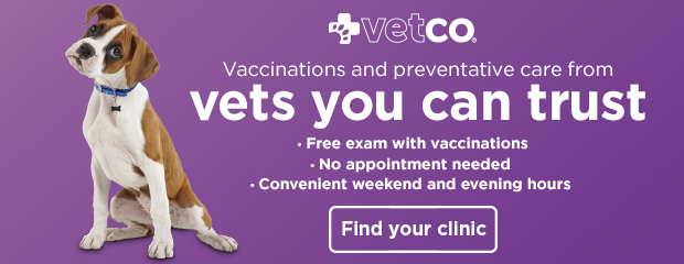 Vaccinations and preventative care from vets you can trust. Free exam with vaccinations, no appointment needed, convenient weekend and evening hours. Find your clinic >