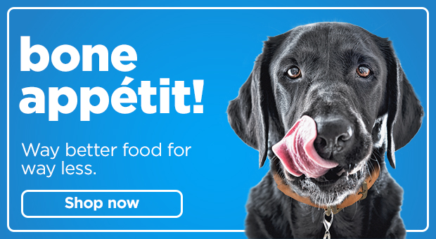 Bone appetit! Way better food for way less. Shop now > 