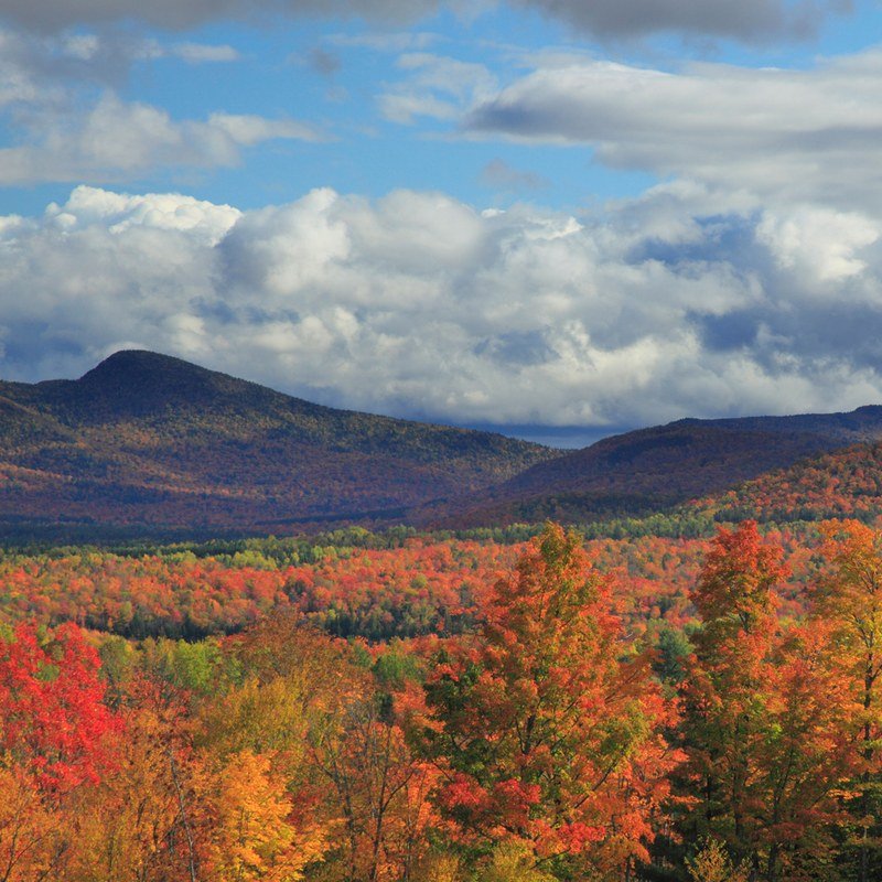 hiking trails