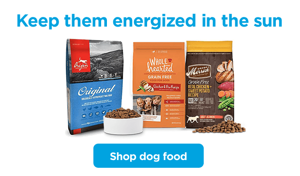 Keep them energized in the sun. Shop dog food.