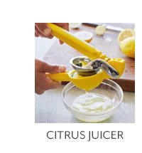 Citrus Juicer