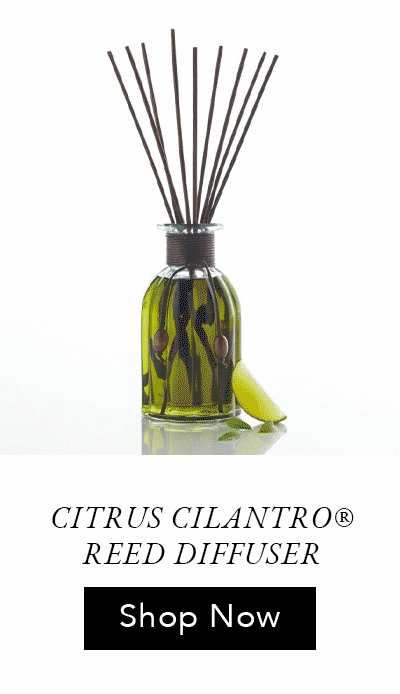 Pier 1 Citrus Cilantro® Reed Diffuser