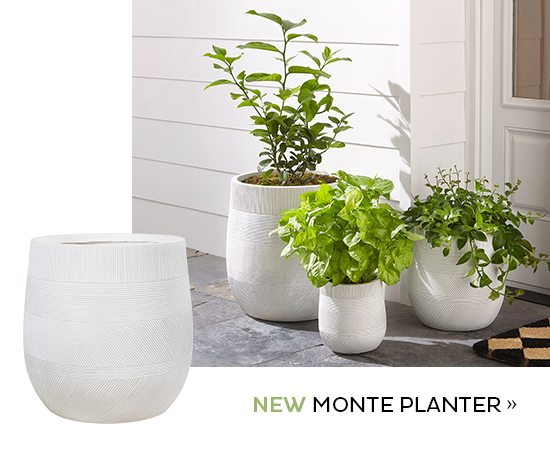 Monte Planter