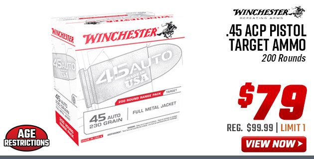Winchester USA .45 ACP Pistol Target Ammo of 200 Rounds