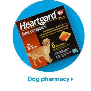 Dog pharmacy.