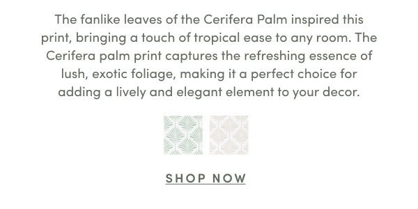 Shop Cerifera Palm