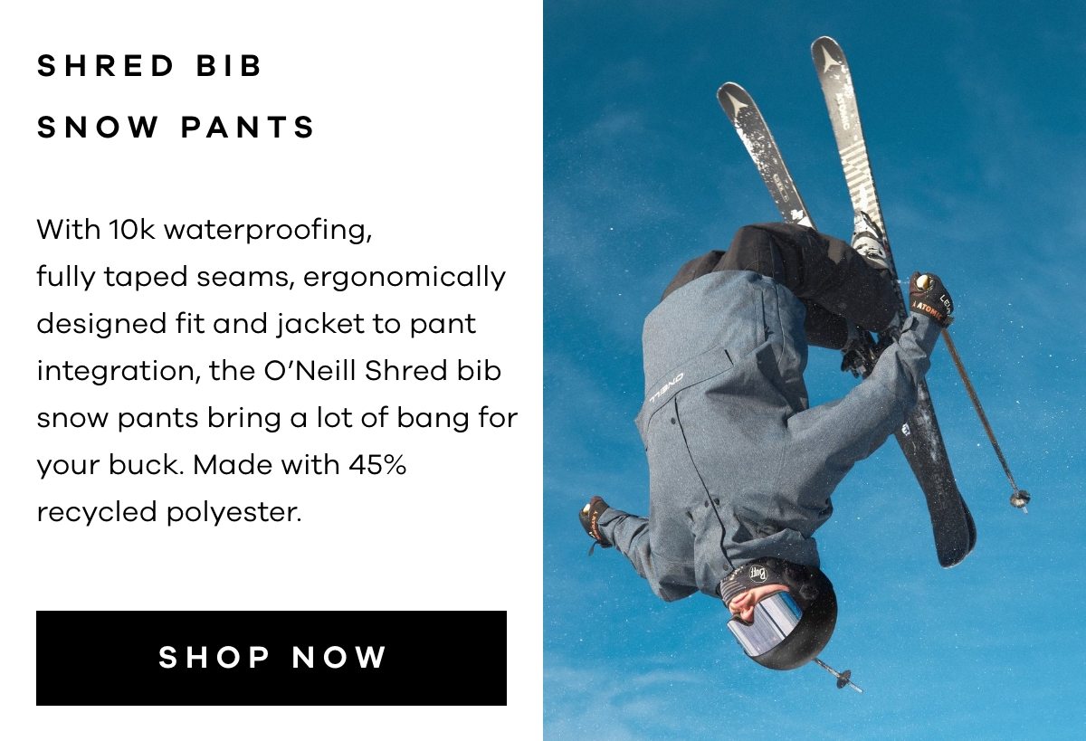 O'Neill Shred Bib Pants | Standout 4