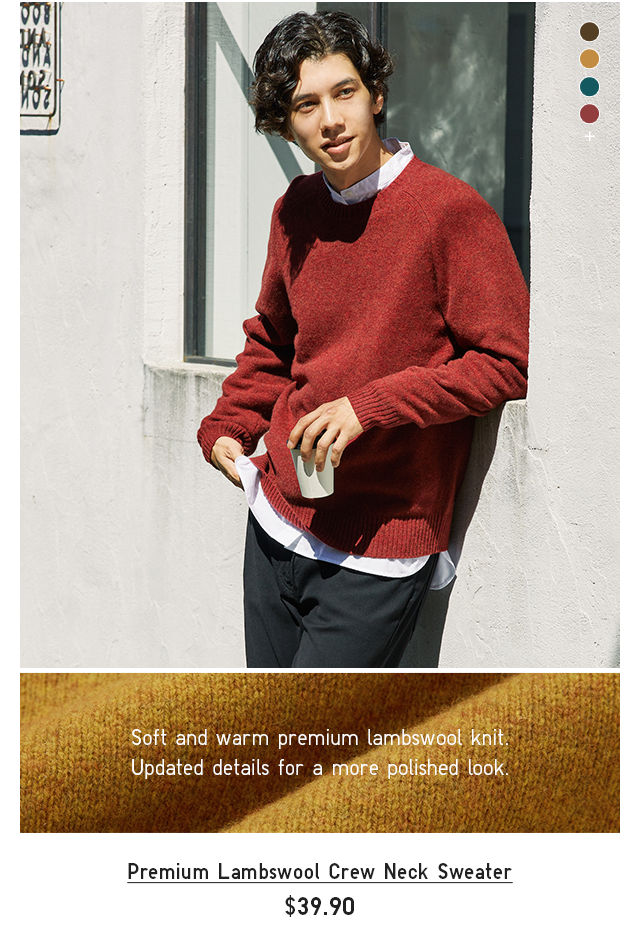 PREMIUM LAMBSWOOL CREW NECK SWEATER