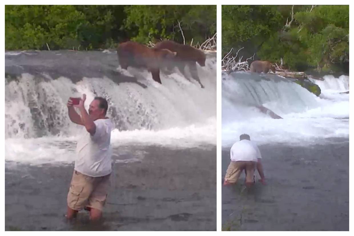 3 Men Receive Prison Sentences for ‘Drunken Capering’ With Katmai Bears