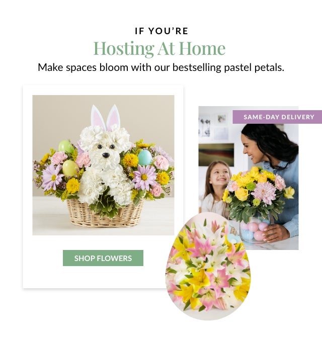 Shop Flowers