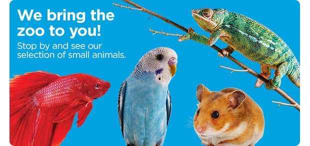 We bring the zoo to you! Stop by and see our selection of small animals.