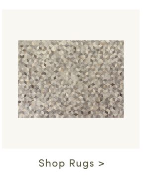 Shop Rugs