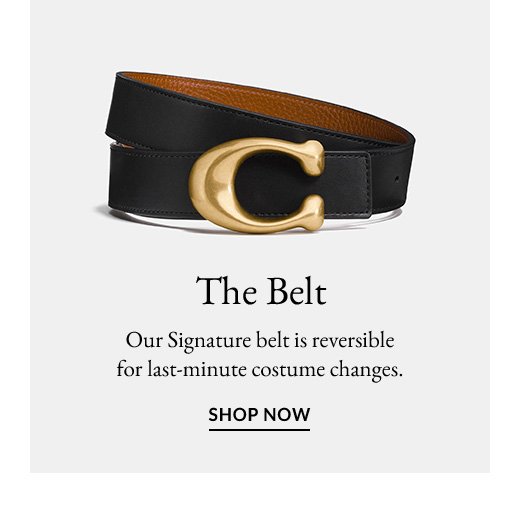 The Belt | SHOP NOW