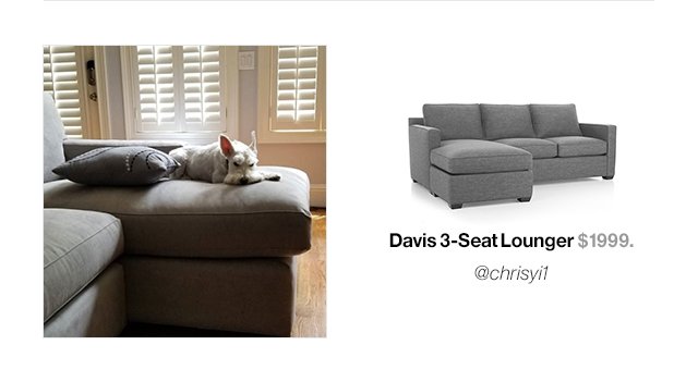 Davis 3 Seat Lounger