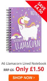 A6 Llamacorn Lined Notebook