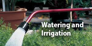 Watering and Irrigation