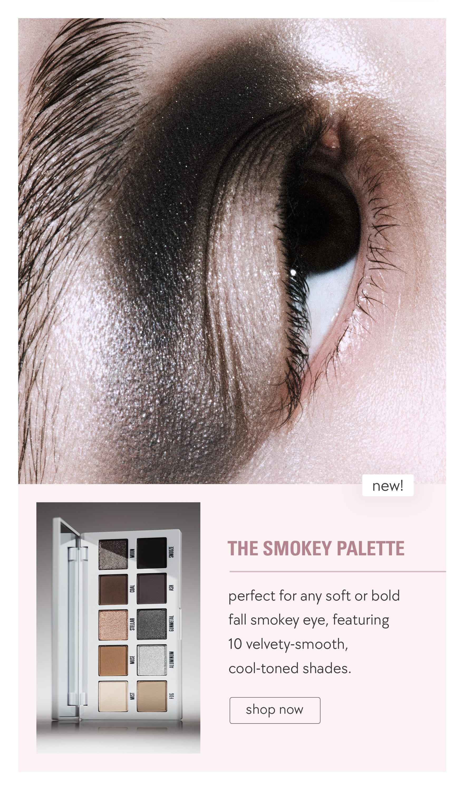 shop the smokey palette