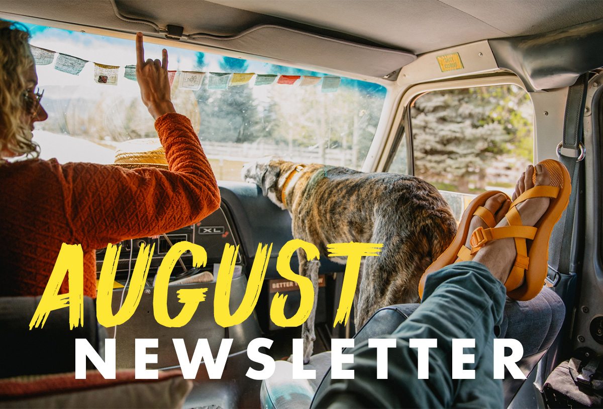 AUGUST NEWSLETTER