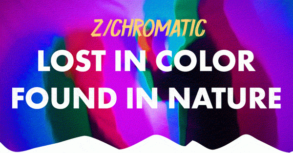 Z/CHROMATIC