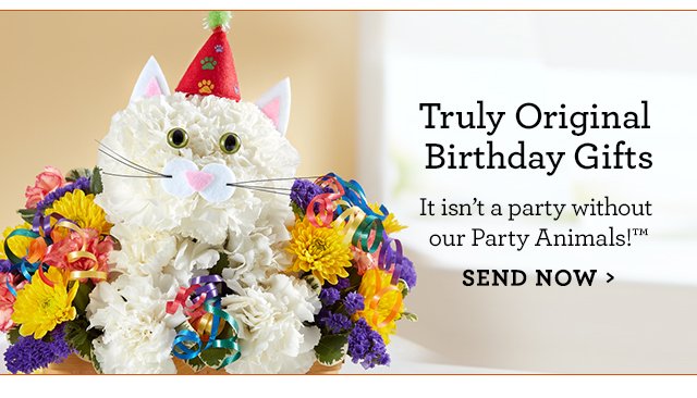 Birthday Banner