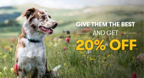 GIVE THEM THE BEST AND GET 20% OFF!